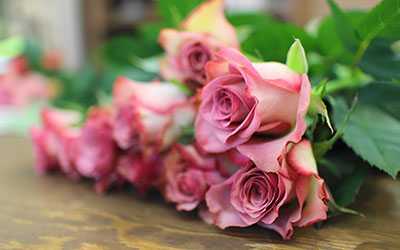 flower shop odessa tx